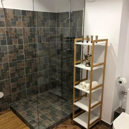 Apartment Gaby Brasov