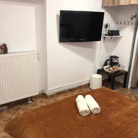 Apartment Gaby Brasov